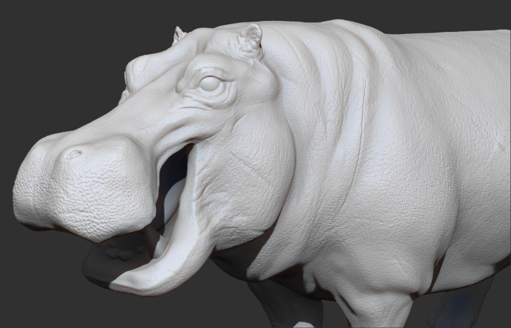 3D hippopotamus hippotamus model https://p.turbosquid.com/ts-thumb/pO/CTJ78v/Siur0I6r/07/jpg/1532328487/1920x1080/fit_q87/3bc45e02fe018c2f9f1288cffbe38424baa98979/07.jpg