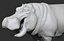 Hippopotam