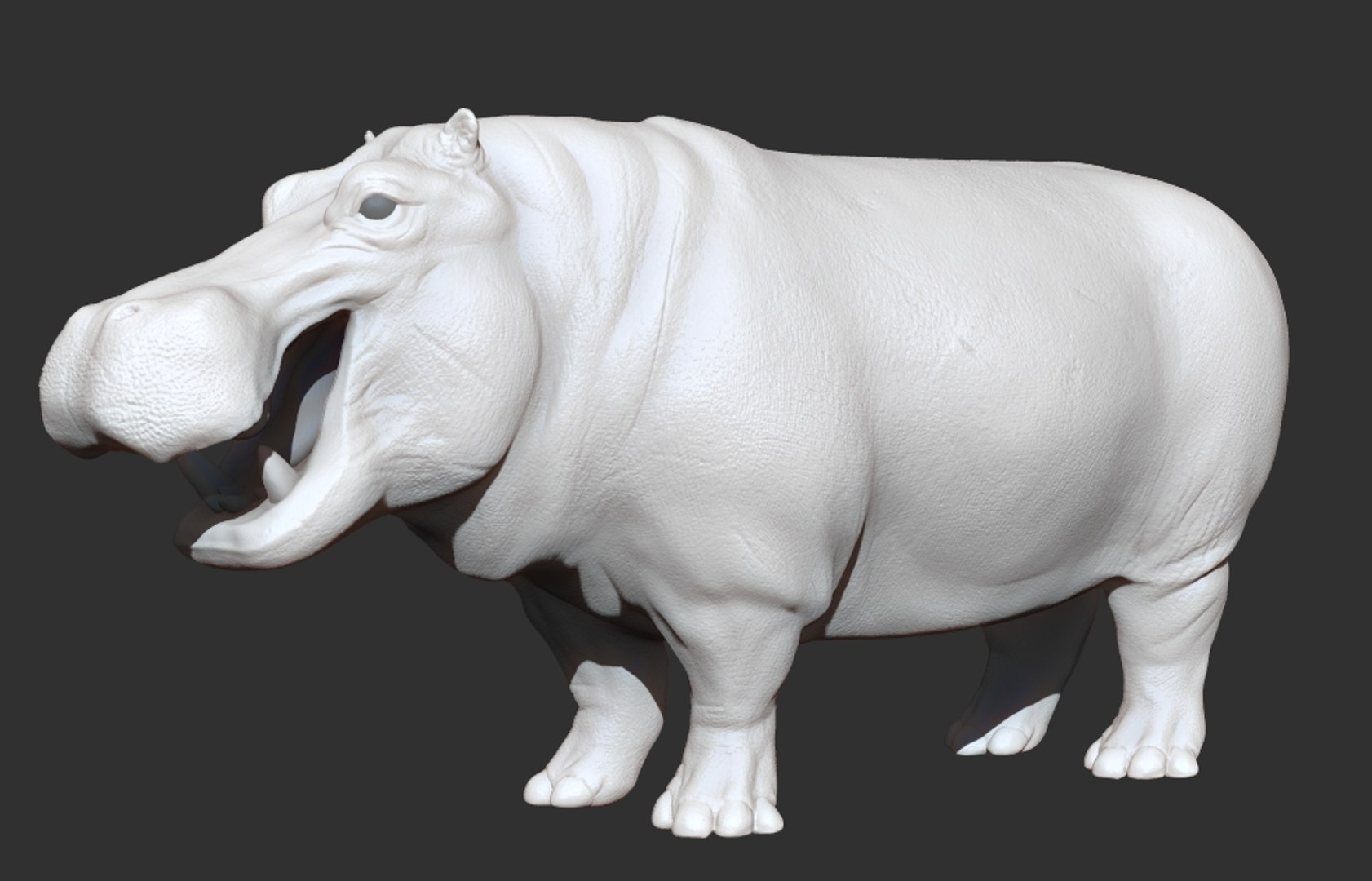 3D hippopotamus hippotamus model https://p.turbosquid.com/ts-thumb/pO/CTJ78v/buHVhhcN/0/jpg/1532328487/1920x1080/fit_q87/f8bee067fb240cacbccebcba6443fc502ab51a76/0.jpg