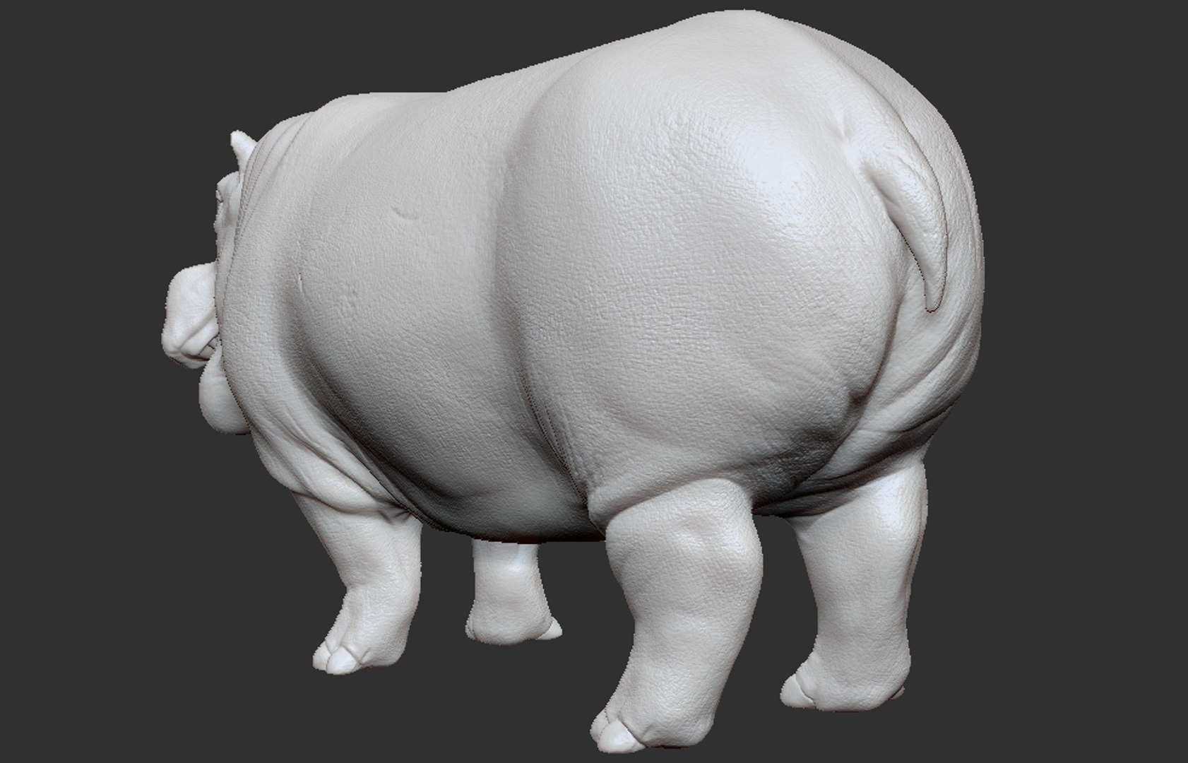 3D hippopotamus hippotamus model https://p.turbosquid.com/ts-thumb/pO/CTJ78v/eomnsWCV/09/jpg/1532328487/1920x1080/fit_q87/cb340eba1588db6597c3fef1c457733c02423859/09.jpg