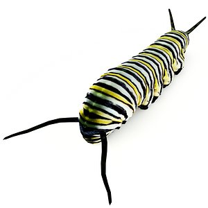 monarch caterpillar 3d model