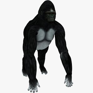 Gorilla silverback 3D model