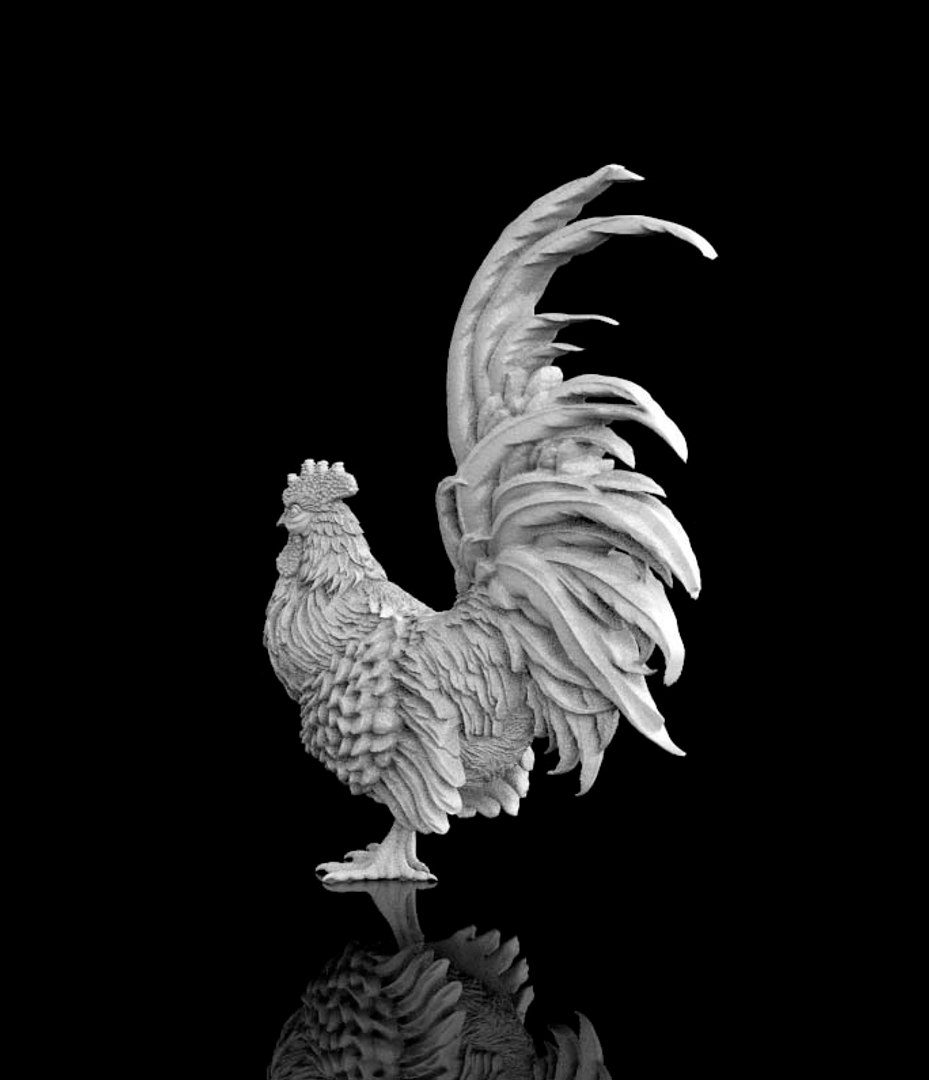 3D cock https://p.turbosquid.com/ts-thumb/pO/c3b6J0/RsSh4zC5/322323/jpg/1574068030/1920x1080/fit_q87/1f1d3d53cf391ac30ed990c3f1c76c4a2195f648/322323.jpg