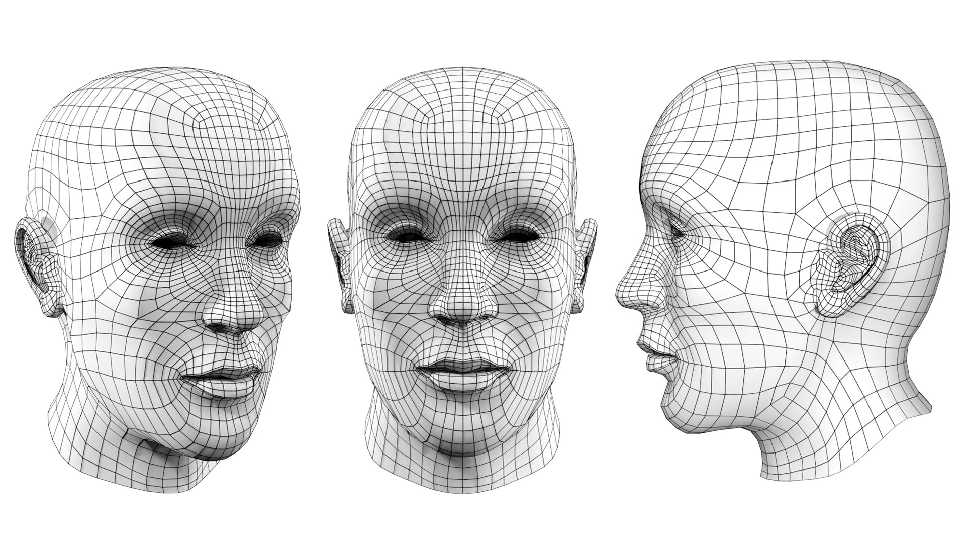 Head Base Mesh 3D Model-Cabeza Base 3D - TurboSquid 1764345