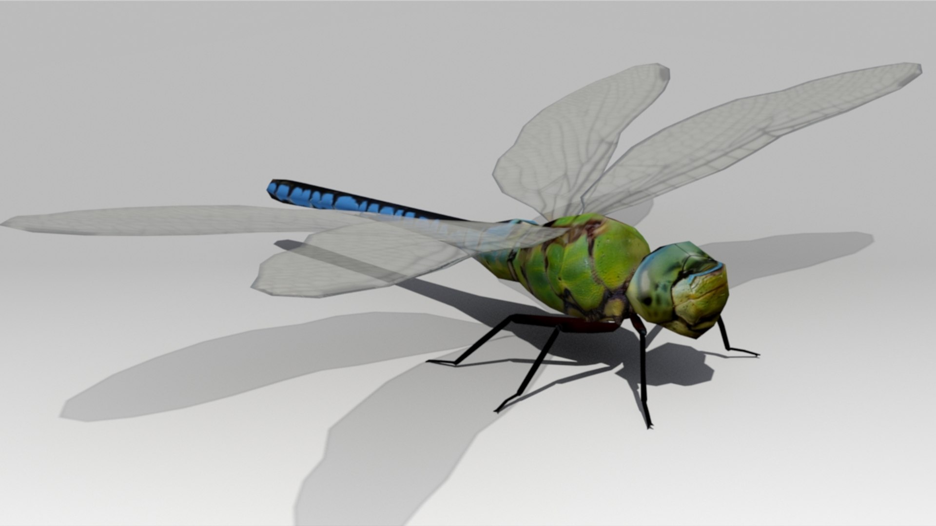 3d Dragonfly Animations Model