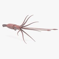 Giant Squid 2