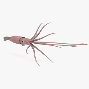 Giant Squid 2