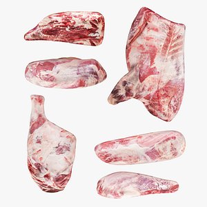 Primal Cuts Beef and Lamb 6 in 1 3D