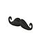 Cartoon Mustache 02
