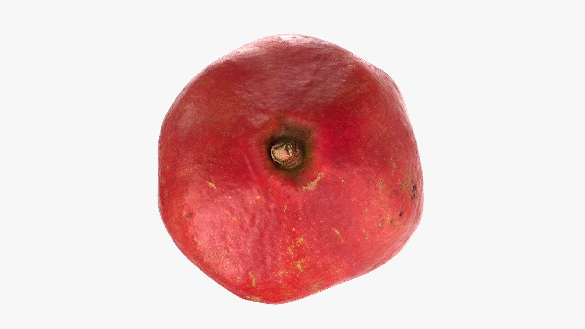 3D Pomegranate 01 https://p.turbosquid.com/ts-thumb/pP/nXNg6V/LQ/pomegranate01_0008/png/1761924232/1920x1080/fit_q87/0a2a116e3907843f87333261feb2d50a81c65095/pomegranate01_0008.jpg