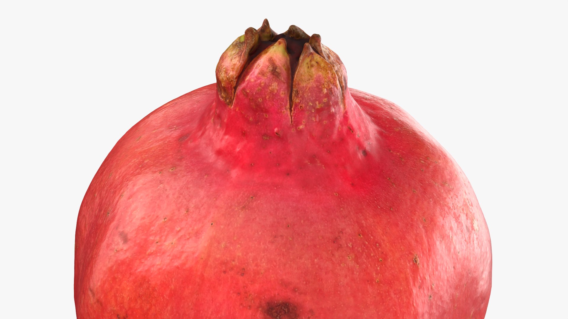 3D Pomegranate 01 https://p.turbosquid.com/ts-thumb/pP/nXNg6V/P6/pomegranate01_0012/png/1761924234/1920x1080/fit_q87/10288925a24150ef8f61fdb4188b1b9fecec0a9c/pomegranate01_0012.jpg