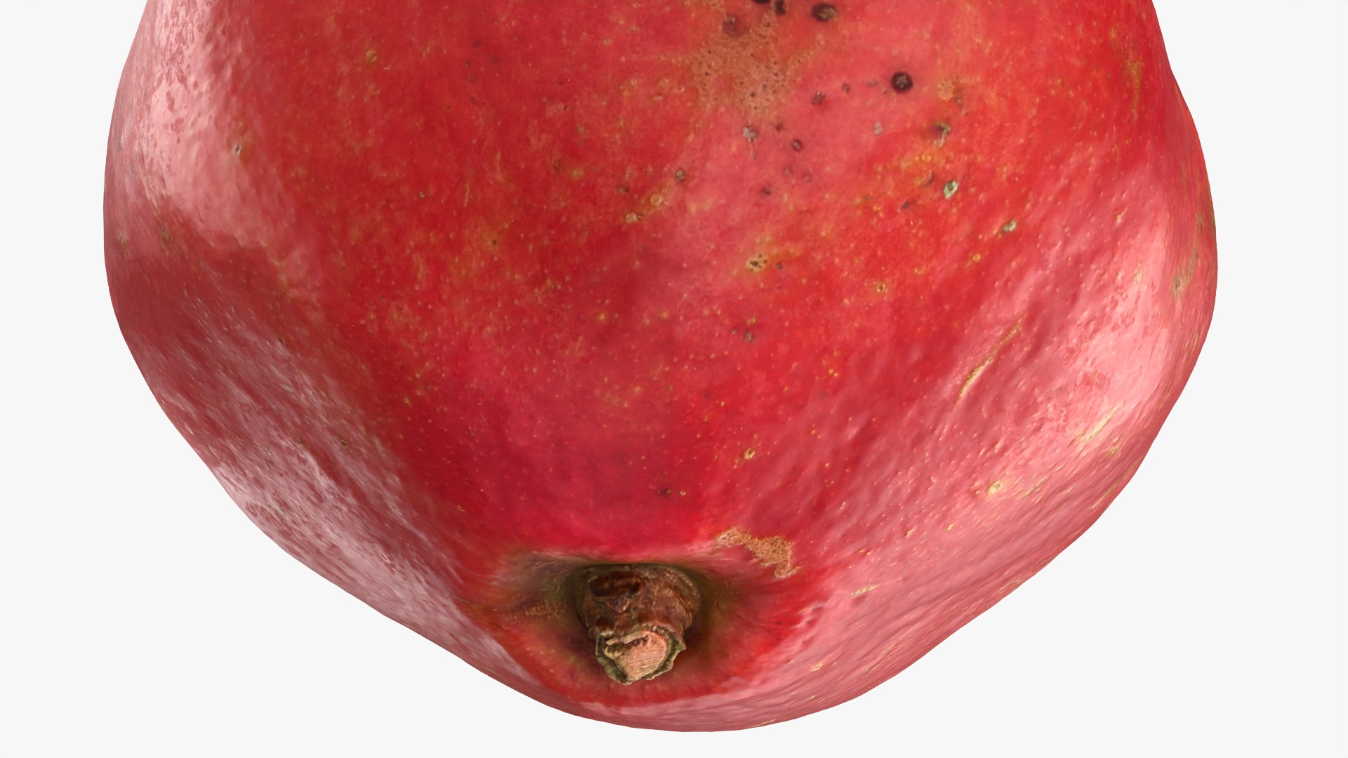 3D Pomegranate 01 https://p.turbosquid.com/ts-thumb/pP/nXNg6V/UO/pomegranate01_0005/png/1761924218/1920x1080/fit_q87/451af8cc9ce6b9afe437a6e4fac7542ce79f77e9/pomegranate01_0005.jpg