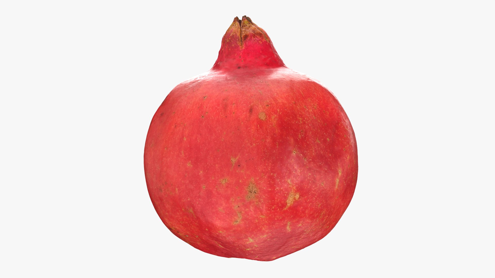 3D Pomegranate 01 https://p.turbosquid.com/ts-thumb/pP/nXNg6V/Uh/pomegranate01_0009/png/1761924226/1920x1080/fit_q87/6be96c20a23d561e552cf966525d85dc0cf89727/pomegranate01_0009.jpg