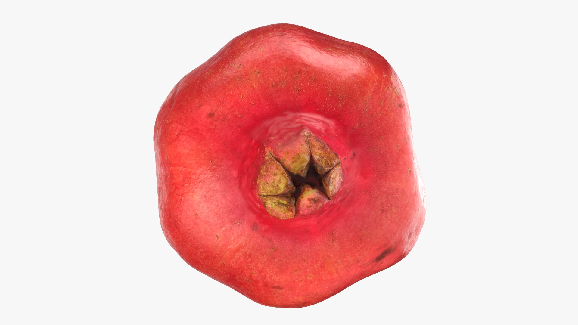 3D Pomegranate 01 https://p.turbosquid.com/ts-thumb/pP/nXNg6V/ln/pomegranate01_0003/png/1761924206/1920x1080/fit_q87/fe88320f1daea6735f3244c4a66857f45203589a/pomegranate01_0003.jpg