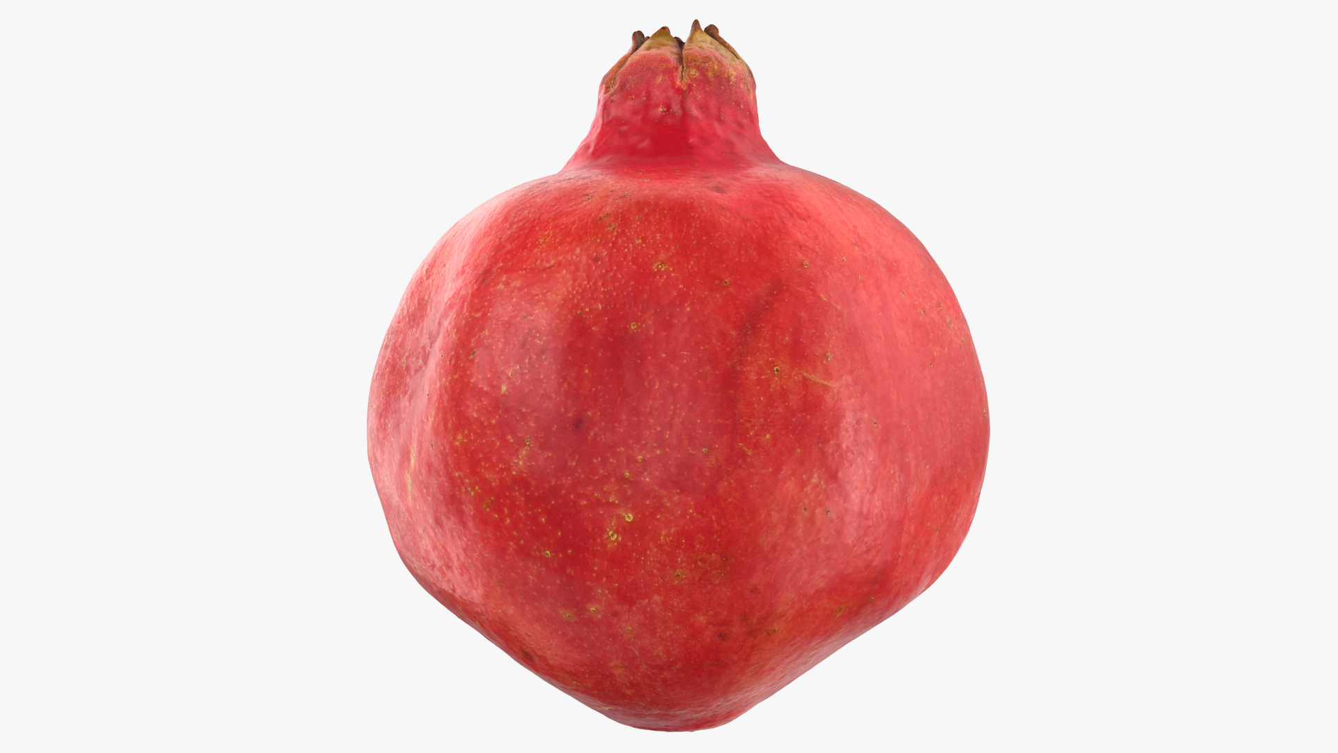3D Pomegranate 01 https://p.turbosquid.com/ts-thumb/pP/nXNg6V/zJ/pomegranate01/png/1762094197/1920x1080/turn_fit_q99/03c0690e6bdd22ab9fd2b83296098fe31aef7d28/pomegranate01-1.jpg