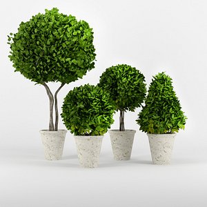 Collection of plants