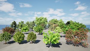highly detailed Fruit Trees 3D Pack 01