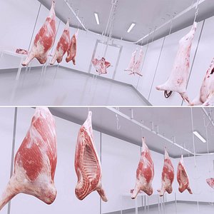 3D Meat Locker Room