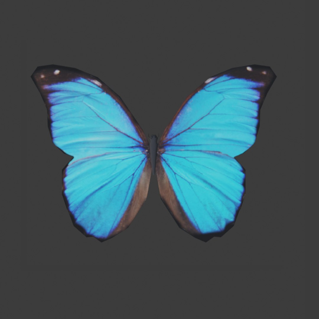 3D ButterflyBlue - TurboSquid 1742906