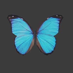 3D ButterflyBlue