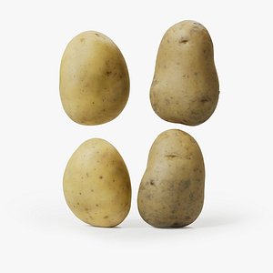 Potatos 3D model