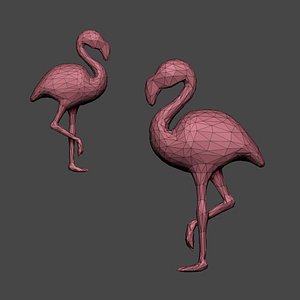 Flamingo