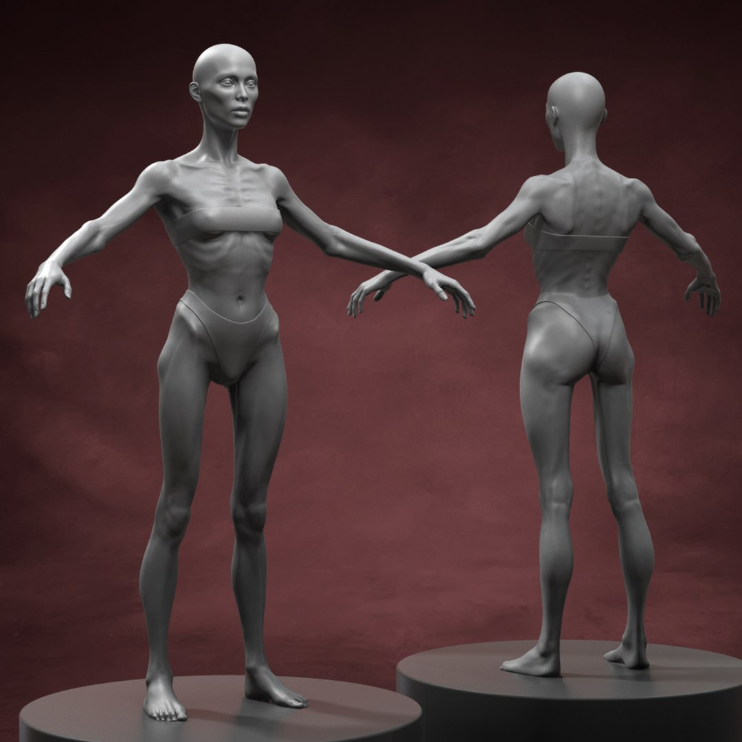 Skinny People Pack 3D Model - TurboSquid 1760225
