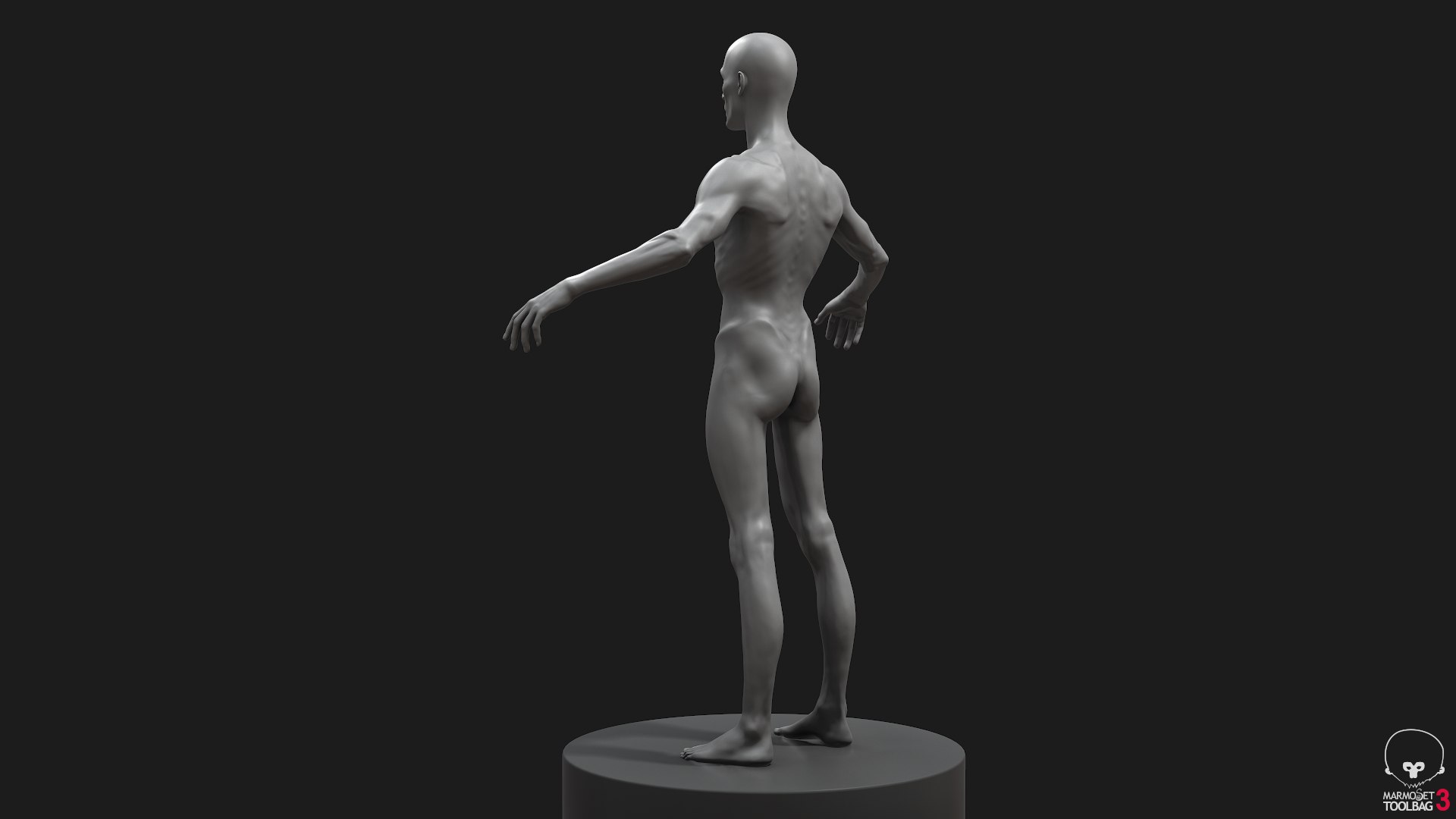 Skinny People Pack 3D Model - TurboSquid 1760225