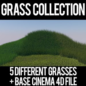 grasses 3D model