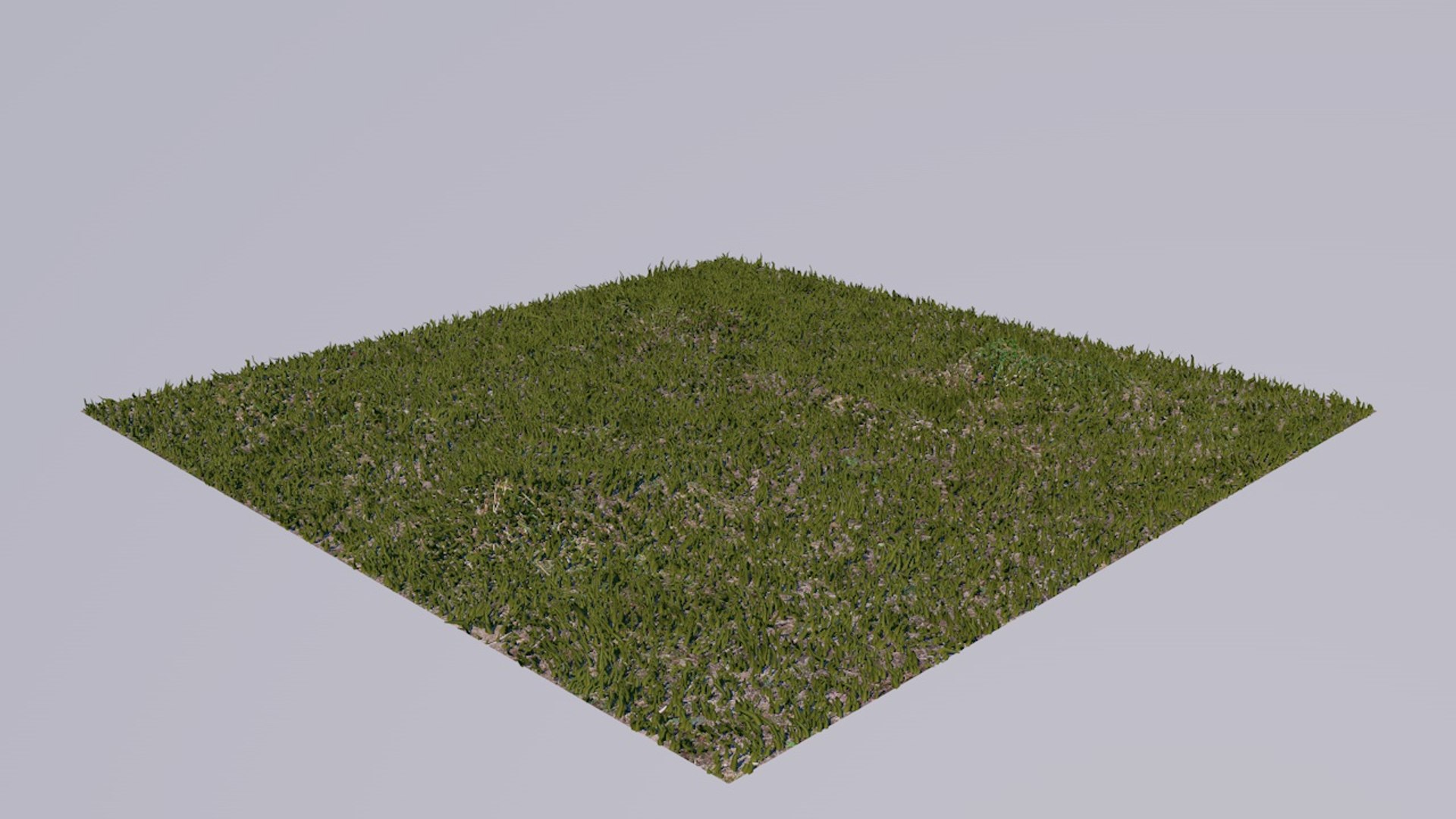 Grasses 3D Model - TurboSquid 1275219