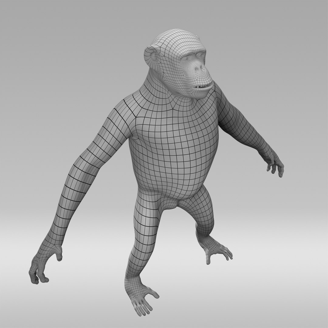 3D Chimpanzee Fur Rig - TurboSquid 1210158