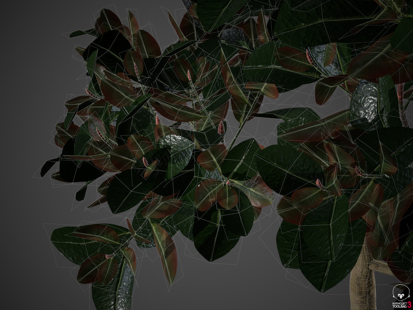 tree nature model https://p.turbosquid.com/ts-thumb/pQ/uGJ7Xv/P8/screenshot001/png/1610494507/1920x1080/fit_q87/0c7d6d0d73a5a00467223658efc81b583e8e42d4/screenshot001.jpg
