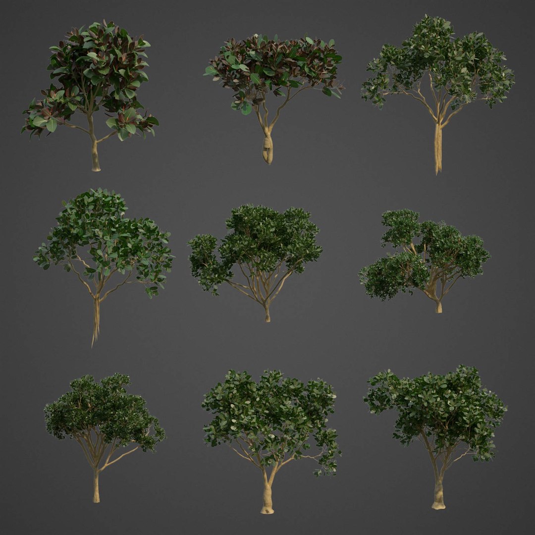tree nature model https://p.turbosquid.com/ts-thumb/pQ/uGJ7Xv/Yw/as08b_02/jpg/1610993029/1920x1080/fit_q87/4c5677c3cff9d31e9ee6724f5d00b0de2776196e/as08b_02.jpg