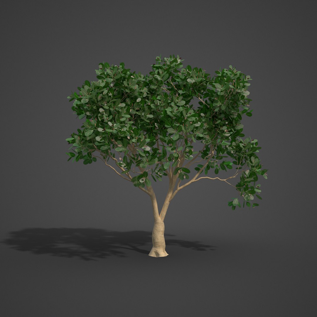 tree nature model https://p.turbosquid.com/ts-thumb/pQ/uGJ7Xv/gI/as08_08/png/1610494505/1920x1080/fit_q87/769570d0116cba01b697276604765524526008be/as08_08.jpg