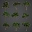 2021 PBR 고무 그림 컬렉션-Ficus Elastica