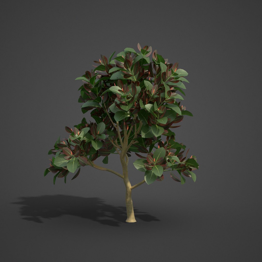 tree nature model https://p.turbosquid.com/ts-thumb/pQ/uGJ7Xv/w2/as08_01/png/1610494504/1920x1080/fit_q87/1681019803037ec12cc6b4c41358f0df5db57e81/as08_01.jpg