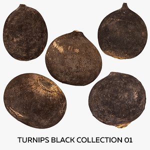 3D Turnips Black Collection 01 - 5 models RAW Scans