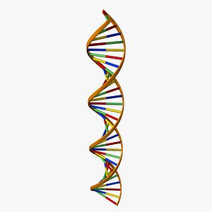 DNA