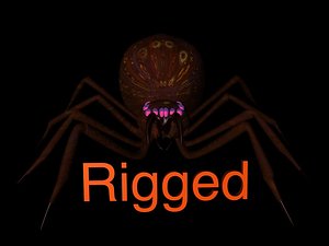 rigged spider 3d model