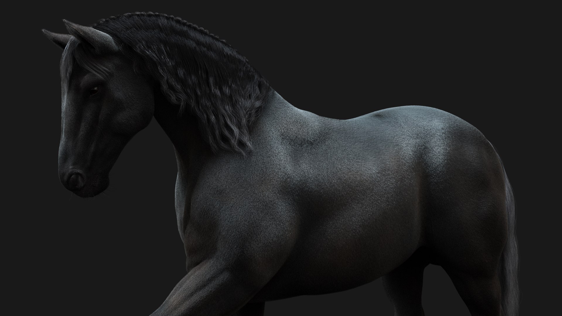 Horse Black RIG XGEN 3D Model - TurboSquid 2163358