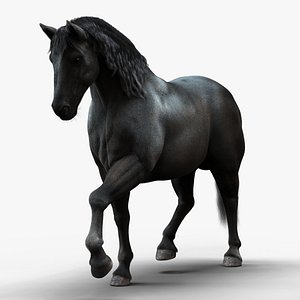Horse Black RIG XGEN 3D model