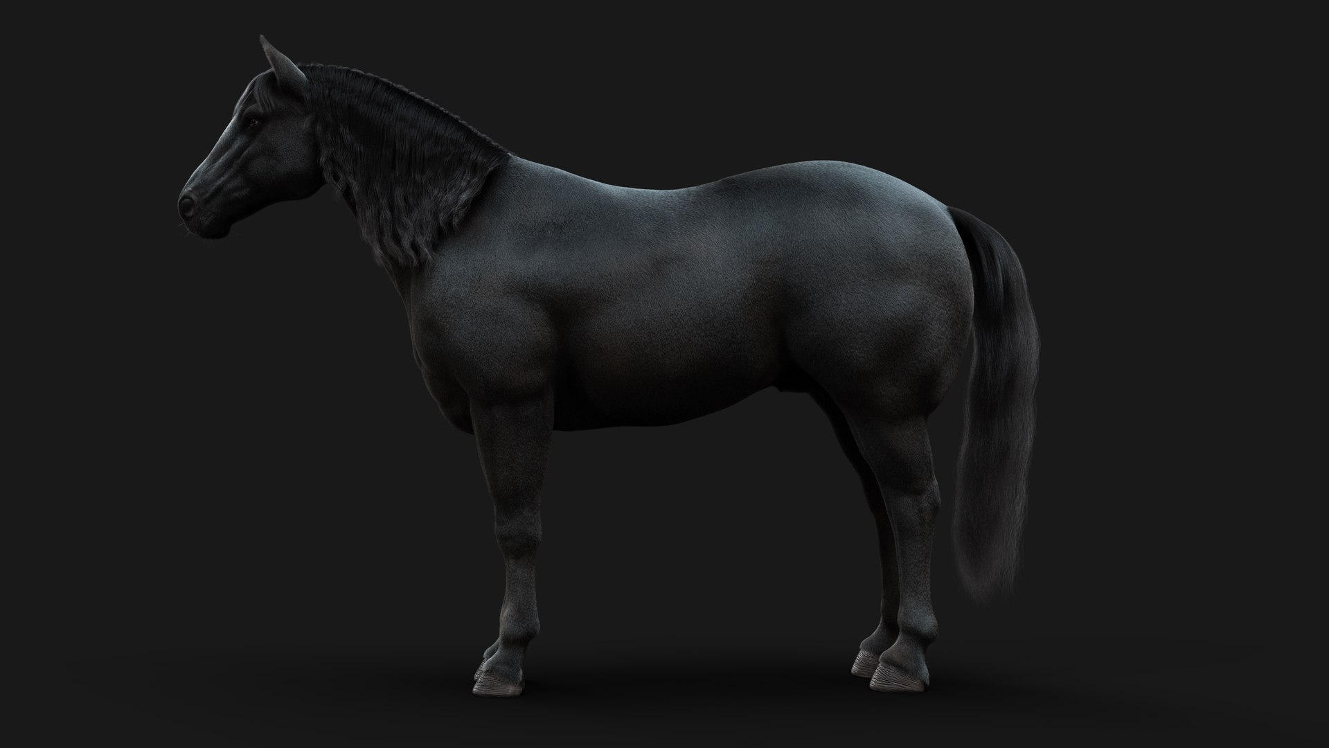 Horse Black RIG XGEN 3D Model - TurboSquid 2163358