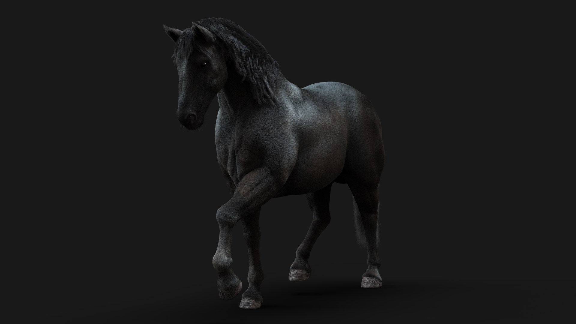 Horse Black RIG XGEN 3D Model - TurboSquid 2163358
