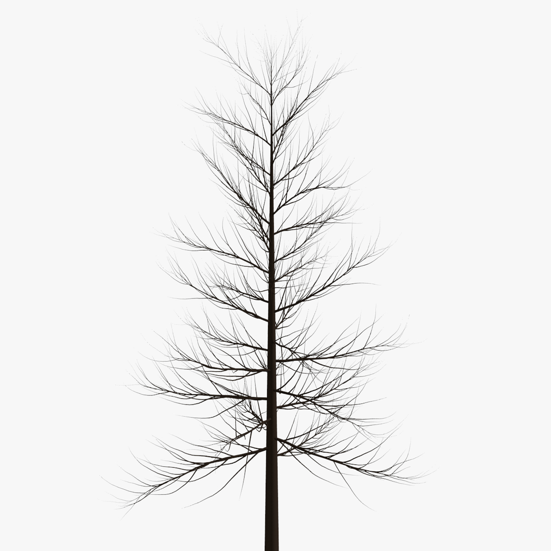 3d Leafy Tree Background Model
