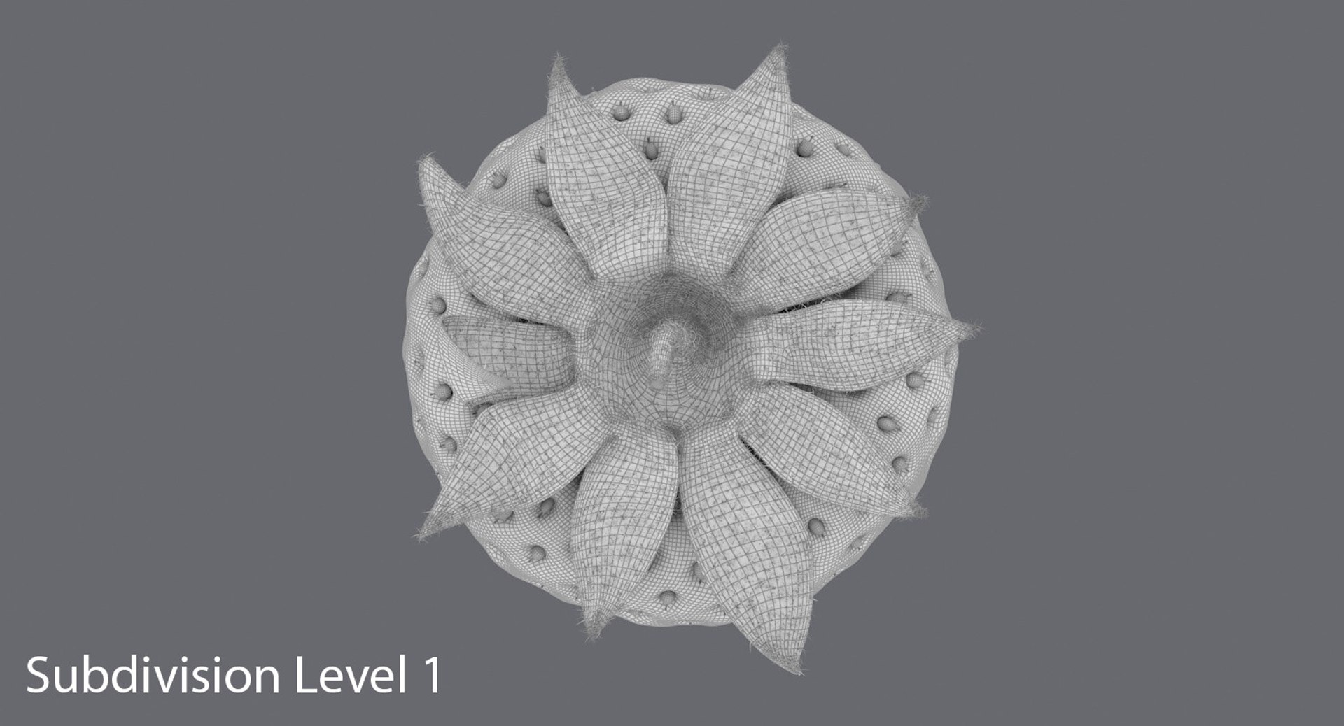 strawberry berry 3d max https://p.turbosquid.com/ts-thumb/pR/blL385/DGQTxWjt/strawberry_subdivisions_0001/jpg/1455112190/1920x1080/fit_q87/bc8a4cf2db683cbf62d21dd5b68d4bd8c3644427/strawberry_subdivisions_0001.jpg