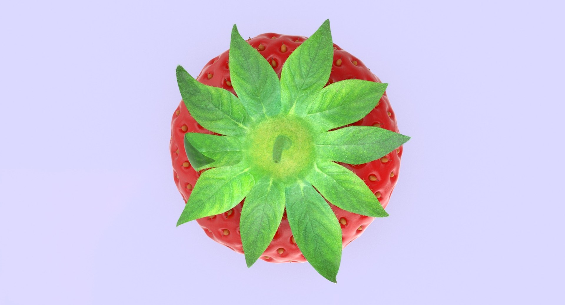 strawberry berry 3d max https://p.turbosquid.com/ts-thumb/pR/blL385/OIc3xq5P/strawberry_productshot_0001/jpg/1455112018/1920x1080/fit_q87/cf2acb96bd8455458c834f3f850d7dd98ae3945e/strawberry_productshot_0001.jpg