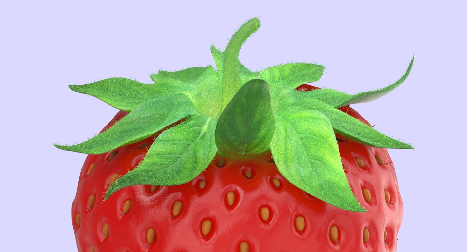 strawberry berry 3d max https://p.turbosquid.com/ts-thumb/pR/blL385/fk0UwlaO/strawberry_productshot_0004/jpg/1455112032/1920x1080/fit_q87/ff531167146ab4e0b17a585fa84c71286287bd4b/strawberry_productshot_0004.jpg