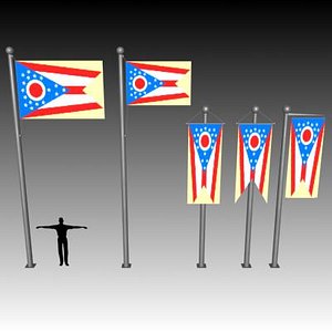 flag u 3d model