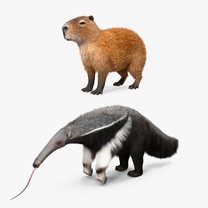 Rigged South American Mammals Fur Collection