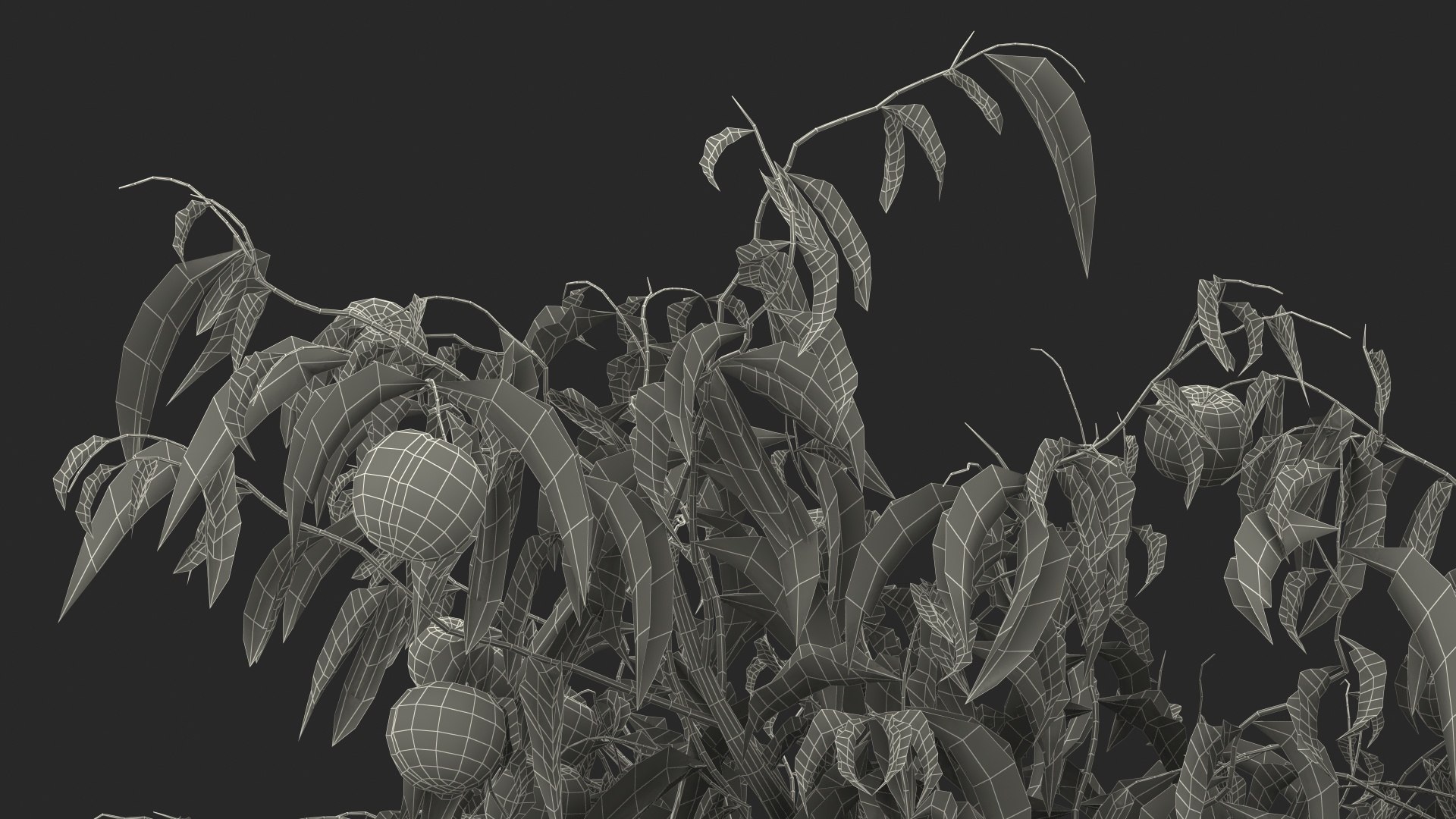 3D peach tree fruits https://p.turbosquid.com/ts-thumb/pS/12QXtD/975LqdIj/peachtreewithfruits3dsmodel024/jpg/1581555898/1920x1080/fit_q87/33e182ffaa6ad4f9593932b92ba7520d78f35c9d/peachtreewithfruits3dsmodel024.jpg